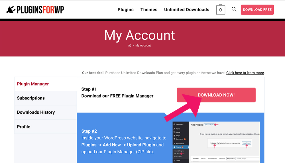 How to Install and Activate the Plugin Manager – PluginsForWP